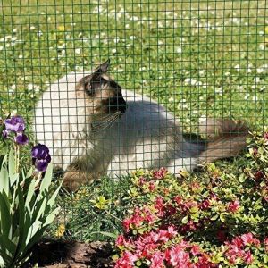 Buy cheap anti rust 0.9x30cm Welded Iron Chicken Wire Garden Fence from wholesalers