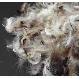 Buy cheap Soft Pillow Filling Materials Washed Grey Duck Feathers for Filling Bedding and product