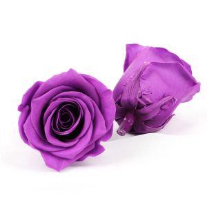 Buy cheap Long Lasting Dia 5-6cm No Pollen Preserved Rose Heads from wholesalers