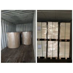 350gsm 400gsm C1S Coated Duplex Board White Surface Grey Back For Boxes