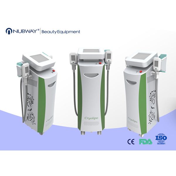 Quality Cryolipolysis Slimming Machine lipo cryolipolysis for sale