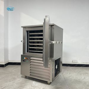 Buy cheap Temperature Control Blast Freezer Container Seafood Preservation For Restaurant from wholesalers
