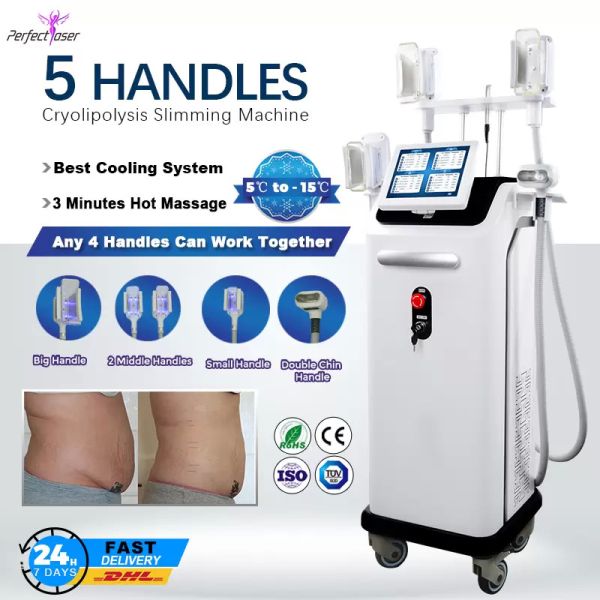 Buy cheap Professional Fat Freezing Cryolipolysis Machine Slimming Weight Loss Fat Reduction from wholesalers