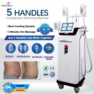 Buy cheap Professional Fat Freezing Cryolipolysis Machine Slimming Weight Loss Fat Reduction from wholesalers