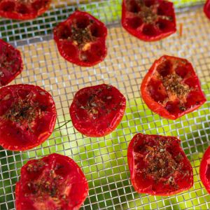 Buy cheap Durable PC Board Drying Greenhouse With Ventilation Equipment For Vegetables And Herbs from wholesalers