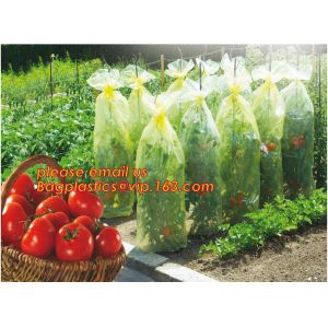 high light transmittance solar control seeding nursery greenhouse covers,100%