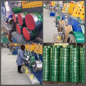 Buy cheap PET Strap Extrusion Line 5-19mm Width for Tape and Strap Production from wholesalers