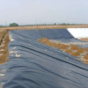 Buy cheap ASTM GRI-GM13 Standard HDPE Liner for Fish Ponds and Farm Tanks 0.3mm-1mm Thickness from wholesalers