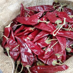 Buy cheap HACCP 200g Yidu Chili Ingredients 7 - 15cm Pungent Chilli Flavor from wholesalers