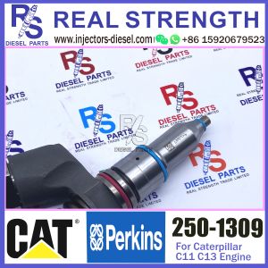 250-1309 Diesel Engine Fuel Injector 250-1309 294-3002 10R-3258 10R-6162 for