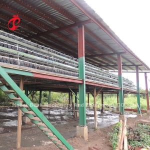 Buy cheap Battery Poultry Farming Cage System Decrease Temperature For Layers Star from wholesalers