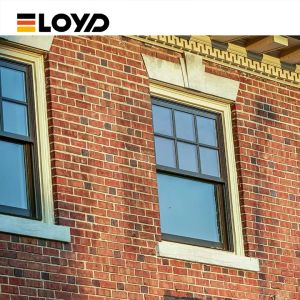 Buy cheap Double Single Hung Window with 5+18A+5mm Tempered Glass and Aluminium Frame from wholesalers