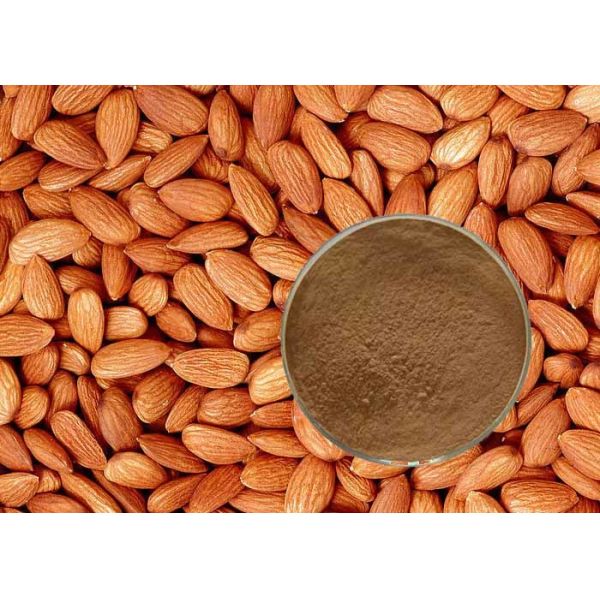 Quality Promote Blood Circulation Herbal Peach Kernel Extract for sale
