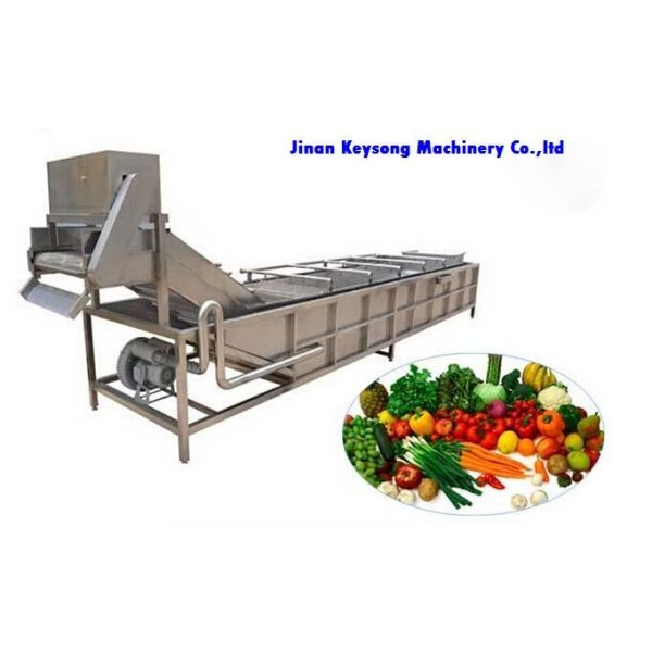 Quality Fresh Fruit And Vegetable Processing Machinery Cleaning Equipment High Efficiency for sale