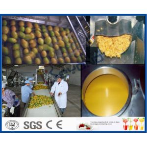 Mango Pulp Processing Machinery Mango Processing Line With Aseptic Package