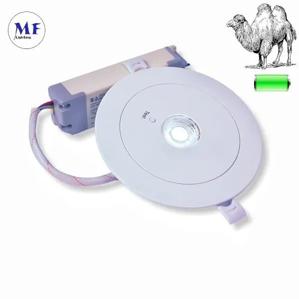 Factory Price ABS PC IP43 3W Back up Lithium Battery LED Emergency Spot Light for School Hospital Subway Train Stations Shopping Center Supermarket Hotel