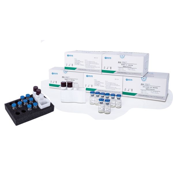 Quality Torch Toxo IgM/Toxo IgG/Rubella IgM/Rubella IgG/CMV IgG/CMV IgM Chemiluminescence Calibrator Kit for sale