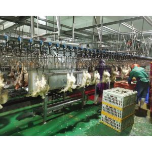 Buy cheap Manufacture of Poultry Meat Processing Plant with 380V Scalding Function from wholesalers