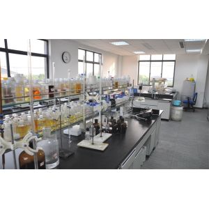 High Efficient Sludge Conditioner For Preconcentration And Dewatering