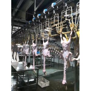 Buy cheap Chicken Goose Turkey Duck Slaughter Machine 1000BPH Poultry Processing Machine from wholesalers