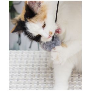 ODM Bite Resistant 42cm Sisal Scratching Post