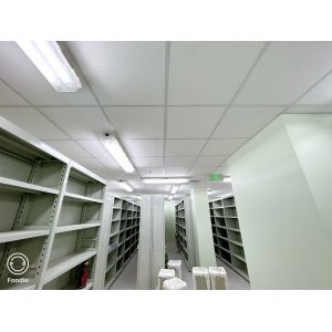 Buy cheap Pharmaceutical Industries Blast Proof Fluorescent Luminaire with Electrical Data Ex d e IIC T6 Gb/ DIP A21 TA from wholesalers