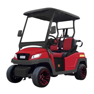 Buy cheap Advanced Golf Buggy Cart 2 Passenger 48V Lithium Battery With Curtis Controller from wholesalers
