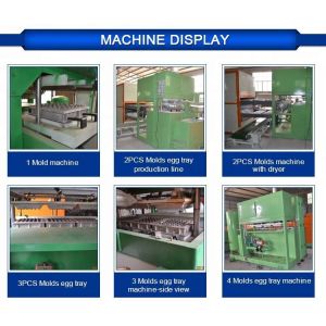 Buy cheap Egg Tray Mould Pulp Tray Machine With Plc Cabinet 2 Years Guarantee from wholesalers