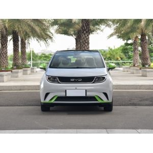 B YD Dolphin The 5 passenger hatchback electric with a great price is used for a