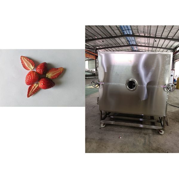 Quality Leybold Refrigeration System Food Vacuum Freeze Dryer Machine Reliable for sale