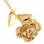 Buy cheap 24k Gold Rose preserved rose  in Gift Box with Clear Display Stand Best Gift Wholesale rose gift for lover from wholesalers
