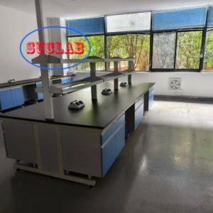 Buy cheap Customizable Chemical Laboratory Furnitures Factory with Excellent Customer Service and C-Frame Design from wholesalers