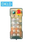Ten- way single speed switch industrial remote control