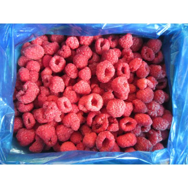Buy cheap High Quality Bulk Frozen Raspberries Frozen Raspberry Bulk Packaging Fruit from wholesalers