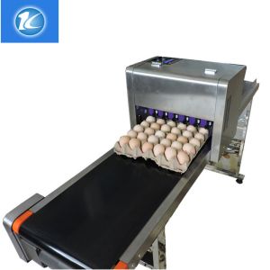 Buy cheap Automatic Egg High Resolution Inkjet Printer With ABC Standard Printing Font from wholesalers