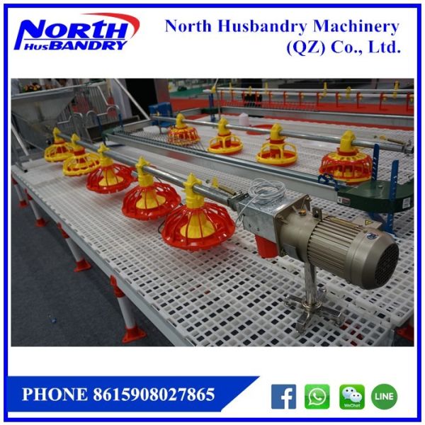 Quality Cari Kualitas tinggi Unggas Sistem Makan Otomatis Produsen dan for sale