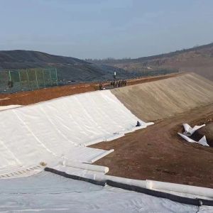 Buy cheap Lightweight Landfill with High Tensile Strength Nonwoven Geotextile and Geomembrane from wholesalers