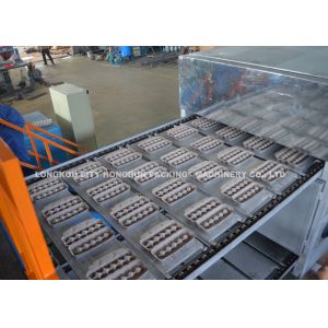 30T Egg Tray Machine 4000pcs/hr , Waste Paper Egg Tray Production Making Line