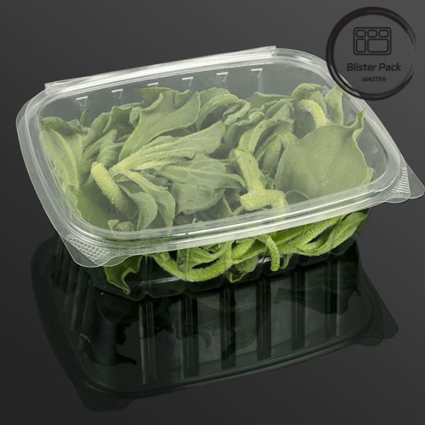 Buy cheap Rectangular Clear Plastic Hinged Salad Container Convenient Food Packaging Solution from wholesalers