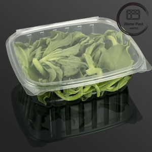 Buy cheap Rectangular Clear Plastic Hinged Salad Container Convenient Food Packaging Solution from wholesalers