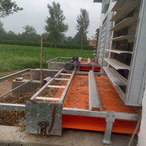 Buy cheap A Type Automatic Layer Poultry Cage Galvanized Steel Wire Mesh from wholesalers