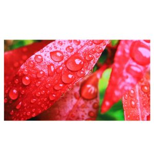 Buy cheap P1.25 P1.5 P1.6 P1.8 Ultral HD Small Pixel Front Service LED Display Screen from wholesalers