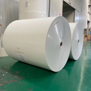 Buy cheap Greaseproof PE Coated Paper Roll Use For Juice Beverages 260-320gsm from wholesalers