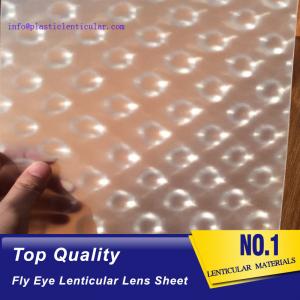 China PLASTIC LENTICULAR fly eye lenticular sheet 0.5mm small dot lens film clear PP lenticular led light diffuser plate on sale