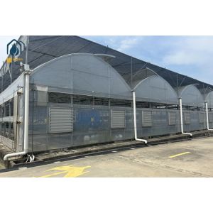 Buy cheap Vegetables And Herbs Multi Span Greenhouse Durable Greenhouse Structure from wholesalers
