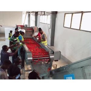 Buy cheap One Stop automatic Tomato Processing Line With CE Certification from wholesalers