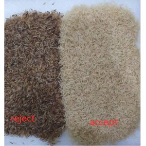 Buy cheap Wenyao Low Maintenance for Plastics Sorting Operations Optical Sorter Small Rice Thailand Rice Black Rice from wholesalers