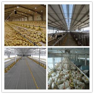 Buy cheap Q235 / Q345 Environmentally Controlled Poultry House , Light Steel Hen Farm product
