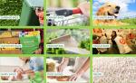 Compostable Caddy Liners plastic Garbage Bag on Roll, biodegradable compostable