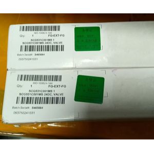 ASCO Explosion Proof Solenoid Valve SCG531C017MS G531C017MS SCG531C018MS